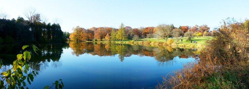 Morton Arboretum, Lisle, IL - fall colors 2012 - Lake Marmo