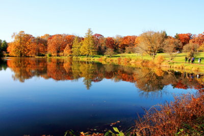 Morton Arboretum, Lisle, IL - fall colors 2012 - Lake Marmo
