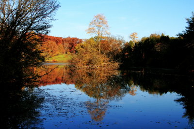 Morton Arboretum, Lisle, IL - fall colors 2012 - Lake Marmo