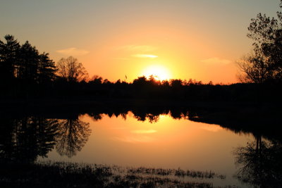 Morton Arboretum, Lisle, IL - sunset - Meadow Lake