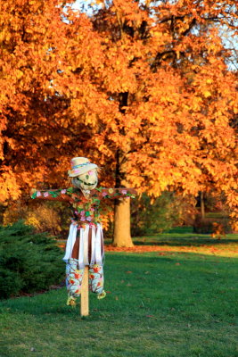 Morton Arboretum, Lisle, IL - fall colors 2012 - Scarecrow trail