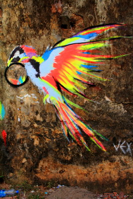Murals, Colorful parrot, Fort Kochi, Kerala