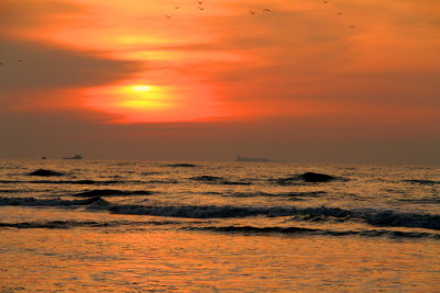 Fort Kochi Beach, Sunset, Fort Kochi, Kerala