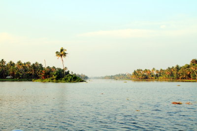 Vayalar Kayal, Backwaters, Lake Vembanad, Vayalar, Kerala