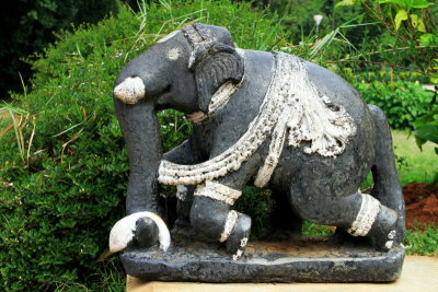 Elephant, Lalbagh Botanical Gardens, Bangalore