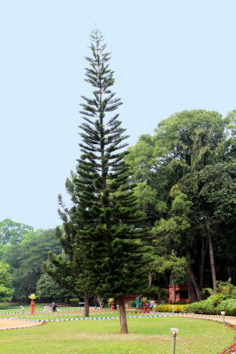 Lalbagh Botanical Gardens, Bangalore