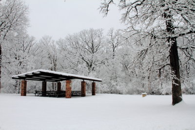 Winter 2013, Deer Grove Forest Preserve, Palatine, IL