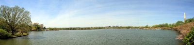 Tidal Basin, Cherry Blossoms, Washington D.C., panorama