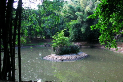 A shot of the lake at Cubbon Park, Bangalore