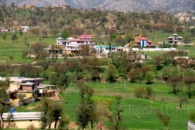 Village Treeyan