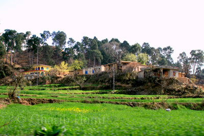 Village in Bhruhian