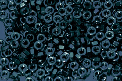Nuts in Tri tone copy.jpg