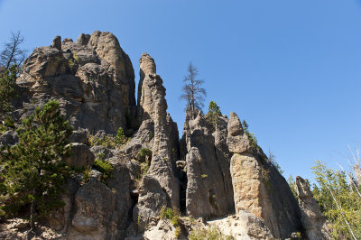 Custer State Park