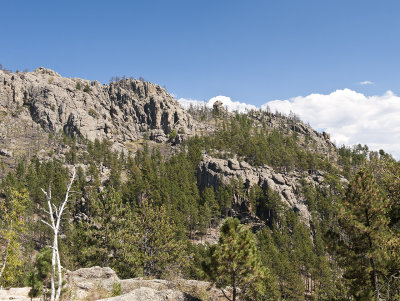 Custer State Park