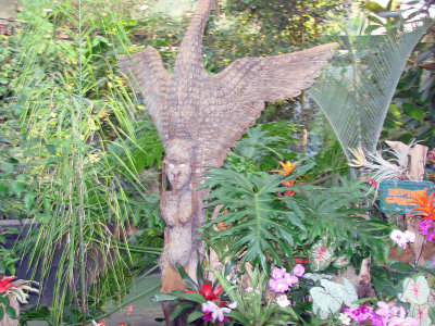 DSC00251-N9.jpg