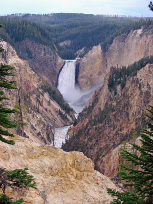 DSC00477-N16.jpg