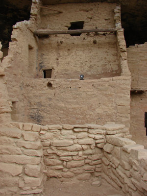 DSC01366-N14.jpg