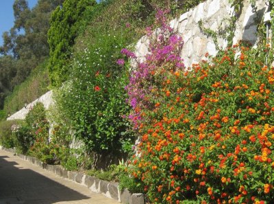 The front path