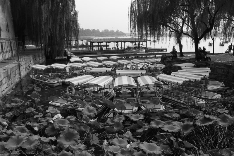 Beijing Royal Palace