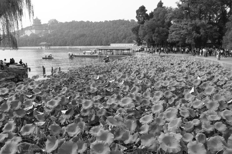 Beijing Royal Palace