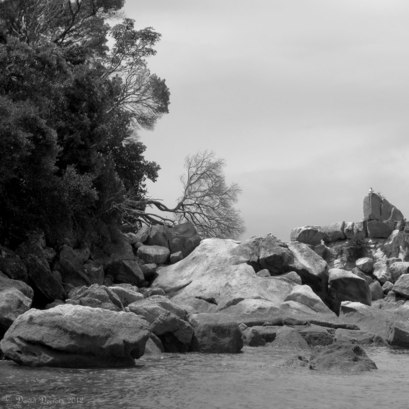 Abel Tasman NP