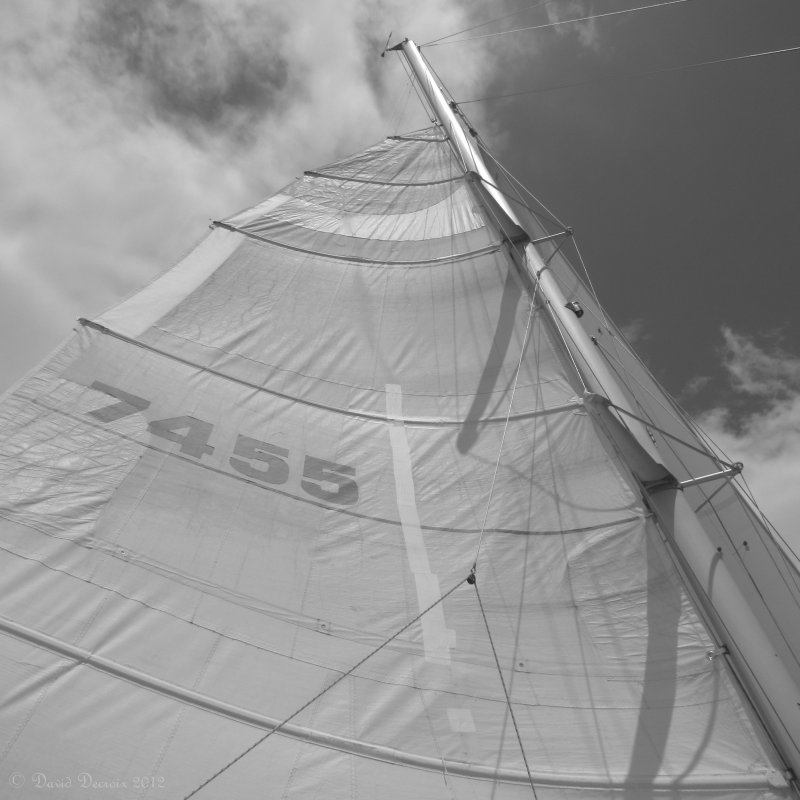 Cruise around the Abel Tasman NP