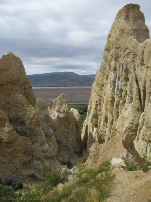 Clay Cliffs, Canterbury