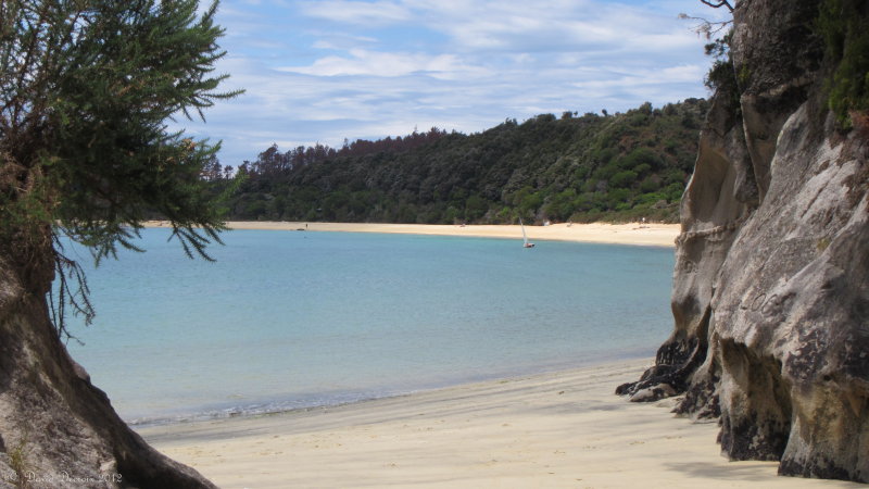 Torrent Bay, Abel Tasman NP