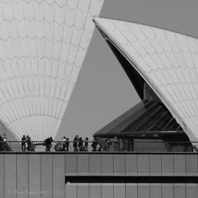 Opera House #7