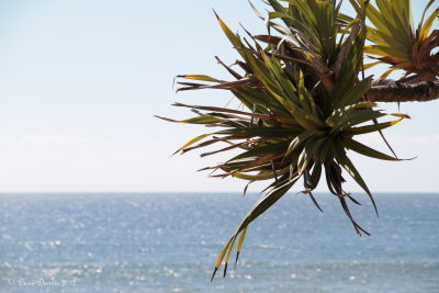 Gold Coast, QLD