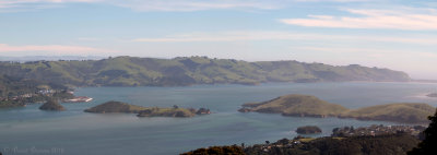 New-Zealand South Island - Otago Peninsula