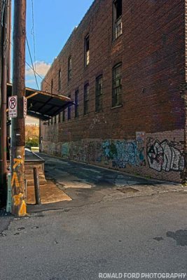 Knoxville Alley Art 1