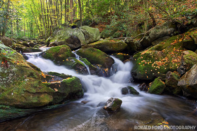 Middle Prong of Little River 1