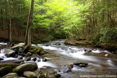 Cades Cove Stream