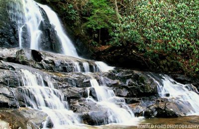 Laurel Falls