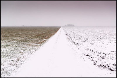 The fields north of Ottenby Kungsgrd