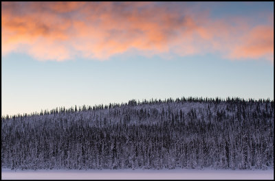 Small mountain with forest south of Svappavaara - Lapland