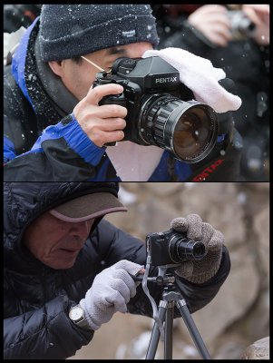 Different ways of dealing with Japanese Monkey photography