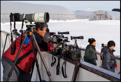Old-fashioned Japanese photographer (panorama specialist?) waiting for cranes to act