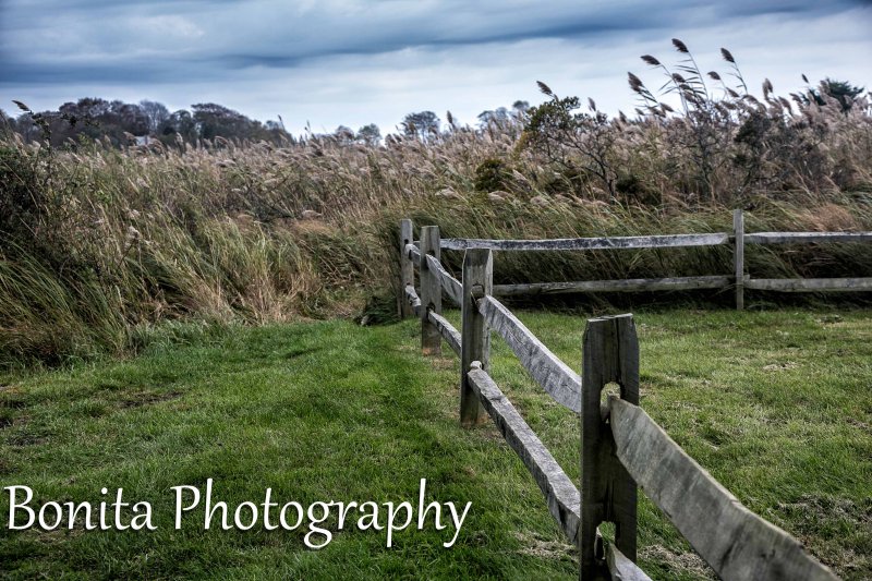 The Strand, Waterford, CT #587