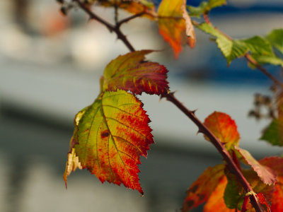 _A280289.jpg