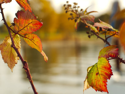 _A280290.jpg