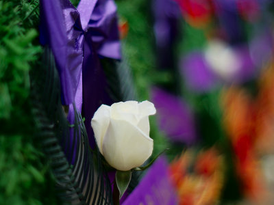 8B110787.jpg