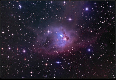 NGC 1788 Foxface Nebula