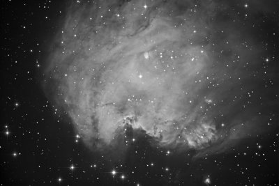 NGC 2174 Monkey Head Nebula