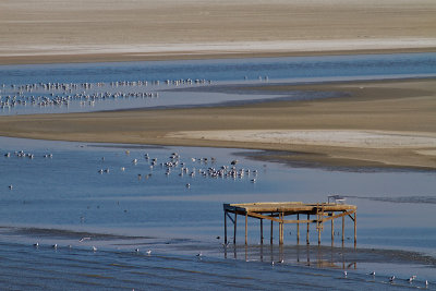 Salton Sea