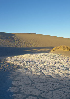 Mesquite Flat Dune