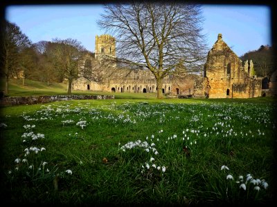 Fountains Abbey