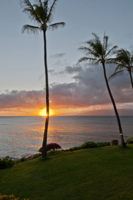 Maui_001.jpg