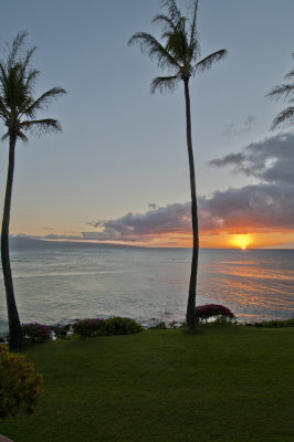 Maui_004.jpg